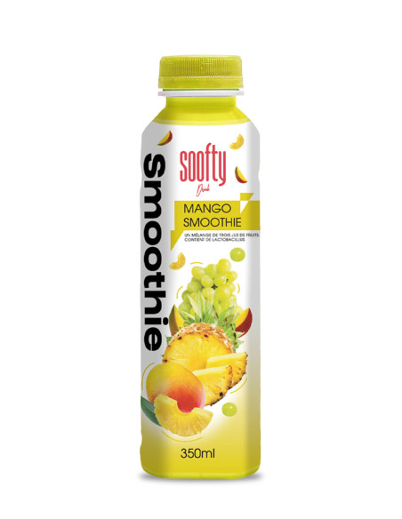 Nouveauté Septembre 2026 : Pack découverte Smoothie – 6 saveurs (6 x 350 ml)